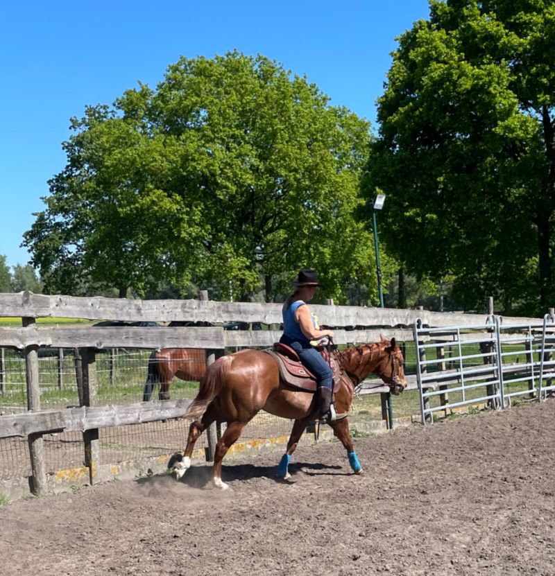 "Get Going ABC... Ranch Horsemanship"