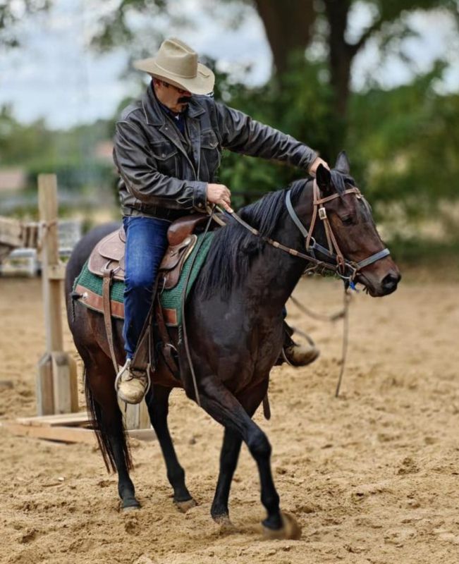 Horses, my way of life...