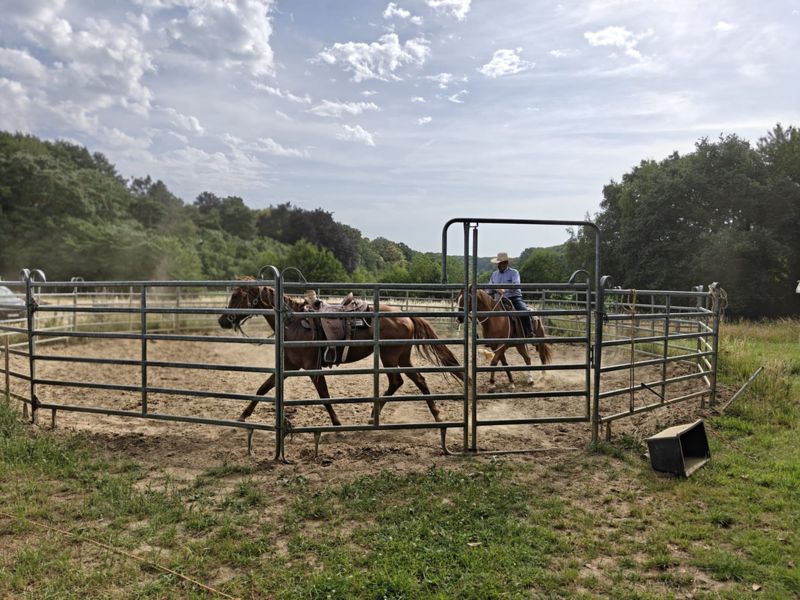 Ranch Horsemanship = paardrijden = 'BEKWAAMHEID'