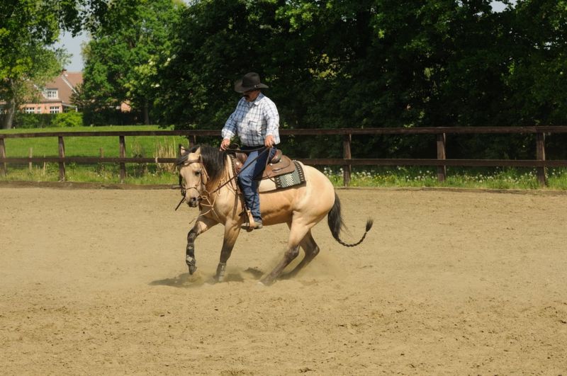 Een ode aan de traditionele rijkunst en de vrijheid!