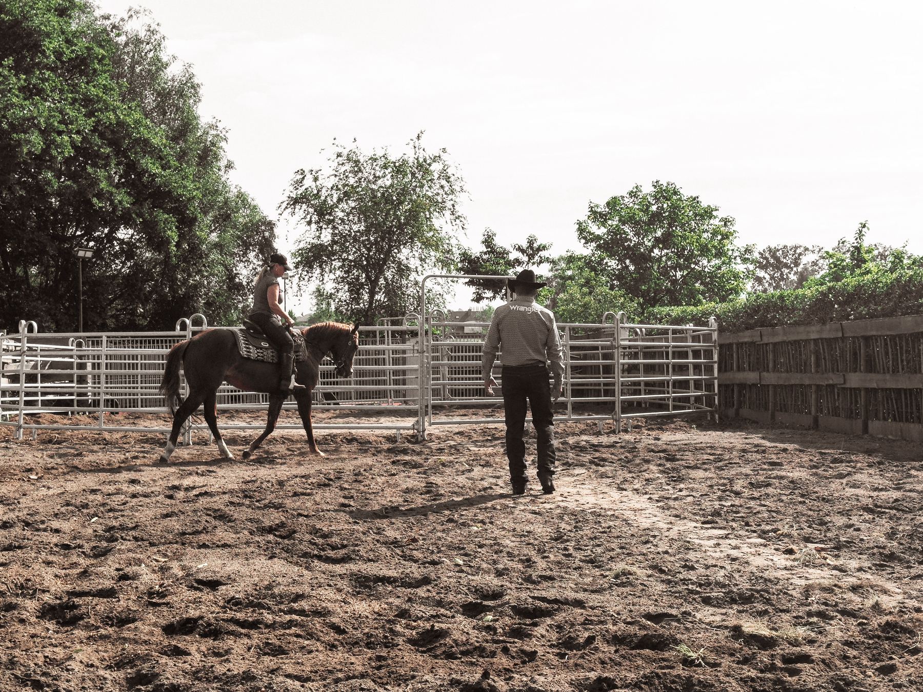 Ruiter en paard aan het werk in de round pen, met begeleiding vanaf de grond